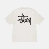 BASIC STÜSSY TEE PIGMENT DYED